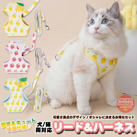 猫 犬 ハーネス リード ペット 服 フルーツ ウェアハーネス 胴輪 キャット ドッグ メッシュ h0501
