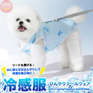  L G炵 Ђ ⊴ p f N[  EFA ^Ngbv ybg hbO hbOEFA ^ ^ t  H ~ h0511