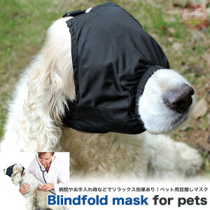  ybg}XN ډB}XN h~ T|[^[ } p  f f@ h0552