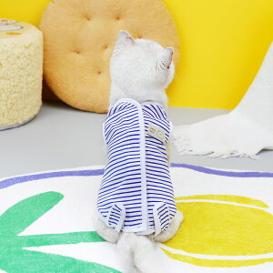 犬 猫 術後服 術後ウェア 伸縮性 ボーダー ワッペン 服 傷 舐めない 傷口保護 ペット服 エリザベスカラー h0588