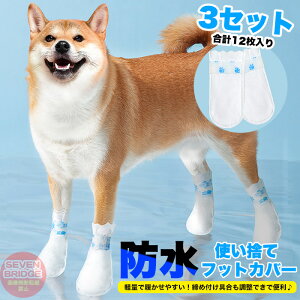  C ĝ htbgJo[ 3Zbg v12 V[Y ybg hbO ی ybgObY h0592