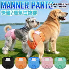 犬 マナーパンツ 女の子 フルメッシュ 通気性抜群 超軽量 ふんわり 優しい肌触り 生理パンツ 伸縮性 ゴム ズレない 小型犬 中型犬 大型犬 洗える 発情期 介護 h0665