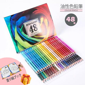 FM 48F Zbg FM GZbg A[gZbg G G̋ ʂG G G` fUC fbT AiO  Mtg a v[g 蕨 l̓hG Gt 