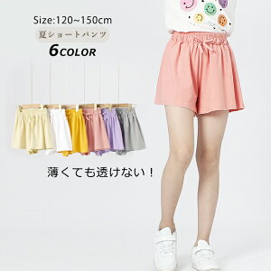 V[gpc ̎q ėp Y{ n[tpc W[W Y{ pc LbY {gX q Zp JWA n[tpc LbY WjA 낢 m fjpc 킢