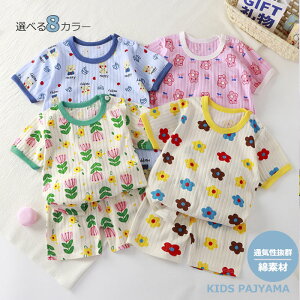 LbY pW}  xr[ 100 Rbg [EFA  Q WjA j̎q ̎q ㉺Zbg  q qpW} LbY {[CY K[Y  j jZbNX 