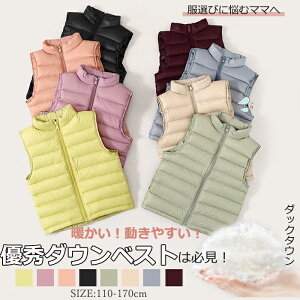 y؁z_ExXg LbY _bN_E j̎q ̎q Ci[ xXg {AxXg WjA q AE^[ _E H ~ t h q AEghA t@Xi[ LbYxXg AE^