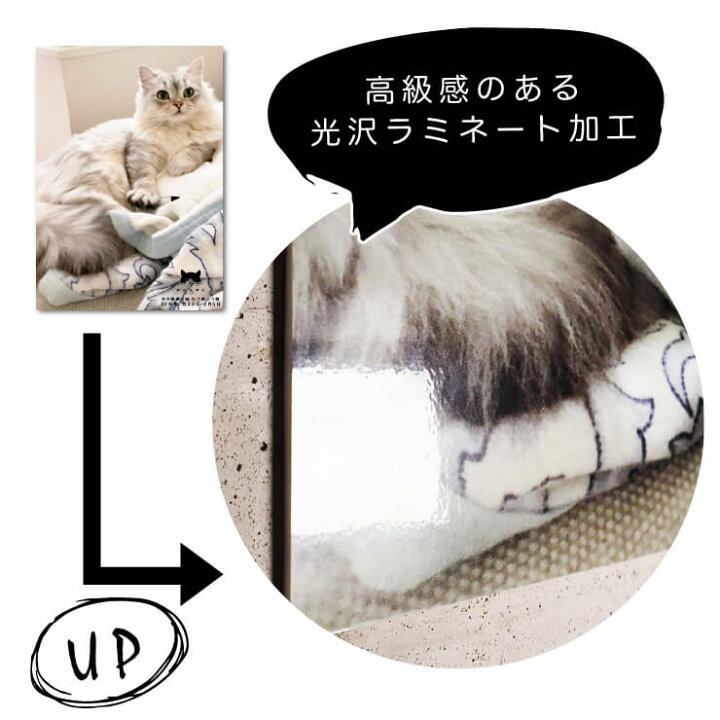 楽天市場】ねこにすと / セミオーダーA4写真パネル / パネルが飾られた  