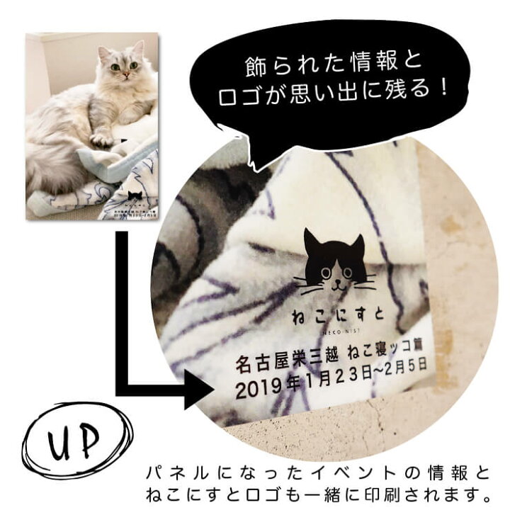 楽天市場】ねこにすと / セミオーダーA4写真パネル / パネルが飾られた 