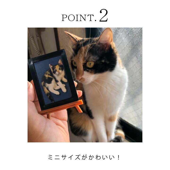 楽天市場】ねこにすと / セミオーダーミニアートフレーム/ ねこにすと 