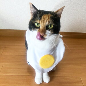 ˂ɂƃIWiSt@ڋʏĂX^C