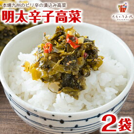 【ほぼ半額クーポン！49%OFF】辛子高菜 220g×2袋 明太子入高菜 送料無料 博多 福岡 帰省土産 旅行土産 おかず ご飯のお供 おつまみ お土産 ギフト ポイント消化 [メール便]