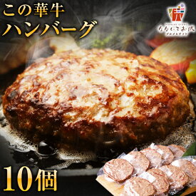 ハンバーグ 100g × 10個 冷凍 1kg この華牛 牛肉 ステーキ肉 宮崎県産 国産 送料無料 ギフト 有田牧場 贈り物 お取り寄せ 高級 グルメ 土産 特産品 宮崎 旨さにわけあり [産直]