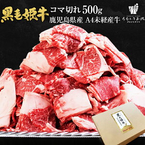 ѕP R}؂ 500g  ē Y јa oY A4 Y  Mtg 蕨   O yY Yi |ɖ󂠂 [Y]