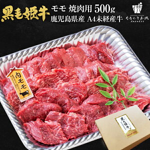 ѕP  ēp 500g   Y јa oY A4 Y Mtg 蕨   O yY Yi |ɖ󂠂 [Y]