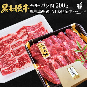 ѕP  o 500gie250gj   Y јa oY A4  o Y Mtg 蕨   O yY Yi |ɖ󂠂 [Y]