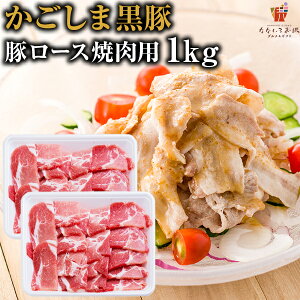 ؃[X ēp ܍ 1kg Y Y  ؓ Ԃ Mtg 蕨   O yY Yi |ɖ󂠂 [Y]