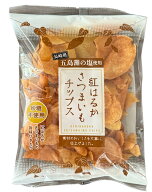 紅はるか さつまいもチップス 100g 国産 五島灘の塩使用 砂糖不使用 紅はるかの旨味が引き立つ 素材のお…