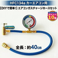 【エントリーでポイント10倍確定！】 カーエアコン ガスチャージセット 【日本語取説付】134 エアコンガ…
