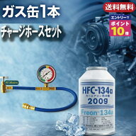 【エントリーでポイント10倍確定！】 カーエアコン ガス HFC 134 エアコンガス 車 冷却復活 補充用 200g …
