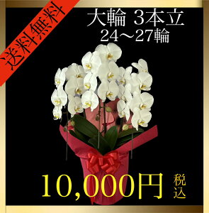 Ӓ  3{ 24ց`27ցiQ݁j   Mtg v[g j a LO ̓ J JX j  