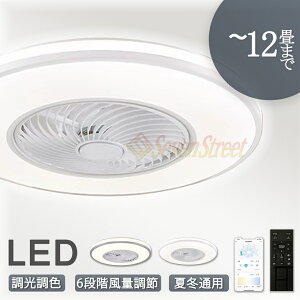 y5Nۏ؁zV[Ot@ V[Ot@Cg 4 6 8 10 12 t@t LED V[OCg ^ Px VƖ Ɩ  F @\ ^C}[ ȃGl Q 