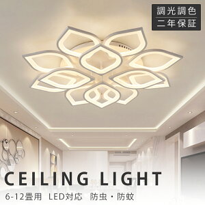 y2Nۏ؁zV[OCg LED  F  k 6 8 12 18 VƖ |Ή xbh[Cg Hsv q̃Cg V[Ov [ rO[ 