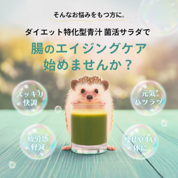 楽天市場】菌活サラダ 3袋 90杯分 旧名称 腸活サラダ ダイエット 青汁 