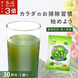 【5と0がつく日はポイント3倍！】 菌活サラダ 1袋 30包入ダイエット サプリ 青汁 乳酸菌粉末 パウダー 抹茶ファスティング 置き換え ドリンク腸活 腸内環境 整える食事制限 糖質ダイエット 低カロリー野菜不足 マルチビタミン 個包装