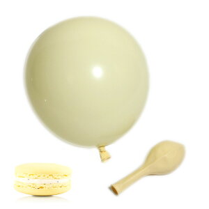 o[ 10Zbg SD }bg 25cm }JJ[ pXeJ[ xr[V[ p[eB[ObY 킢 a j  fBXvC 10inc