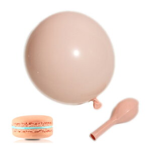 o[ 10Zbg SD }bg 25cm }JJ[ pXeJ[ xr[V[ p[eB[ObY 킢 a j  fBXvC 10inc