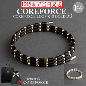 RAtH[X[v K18 S[h 50cmX|[cANZT[ uXbg lbNX ANbg oX ̊ St vSt@[ g[jO ؃g AX[g v싅 NAN