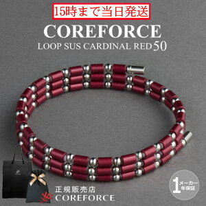 yVFzRAtH[X[v J[fBibh SUS TX 50cm X|[cANZT[ uXbg lbNX St ̊ vSt@[ g[jO ؃g AX[g v싅 N 