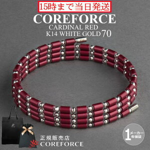 yVFzRAtH[X[v J[fBibh K14 zCgS[h 70cm X|[cANZT[ uXbg lbNX St ̊ vSt@[ g[jO ؃g AX[g v