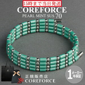 yVFz RAtH[X[v SUS TX p[~g 70cm X|[cANZT[ uXbg lbNX St ̊ vSt@[ g[jO ؃g AX[g 싅 X|[c N j