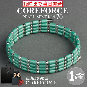 yVFz RAtH[X[v p[~g K14 70cm X|[cANZT[ uXbg lbNX St ̊ vSt@[ g[jO ؃g AX[g v싅 X|[c NA