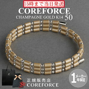 yVFzRAtH[X[v VpS[h K14 zCgS[h 50cm X|[cANZT[ uXbg lbNX St ̊ vSt@[ g[jO ؃g AX[g v