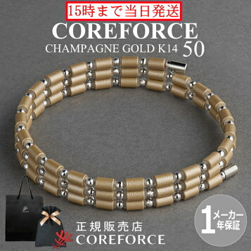 楽天市場】スポーツネックレス 846YAJIRO Rich Coin Necklace【TOP 