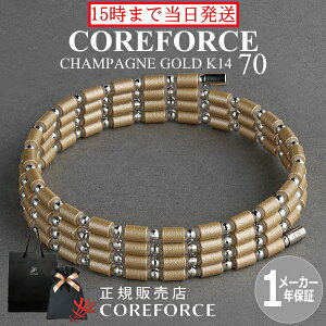 yVFzRAtH[X[v VpS[h K14 zCgS[h 70cm X|[cANZT[ uXbg lbNX St ̊ vSt@[ g[jO ؃g AX[g v