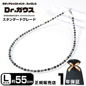 Dr.KEX hN^[KEX X^_[hO[h 55cm LTCY ClbNX ANZT[ N ǗË@ CÊ X|[c AX[g  ؃g X|[cANZT[ Y 