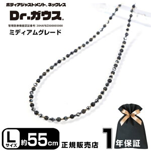 Dr.KEX hN^[KEX ~fBAO[h 55cm LTCY ClbNX 10 K10 ANZT[ N ǗË@ CÊ X|[c AX[g  ؃g X|[cANZT[ 