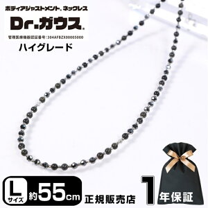 Dr.KEX hN^[KEX nCO[h 55cm LTCY ClbNX 10 18 zCgS[h ANZT[ ǗË@ CÊ X|[c AX[g  ^ X|[cANZT
