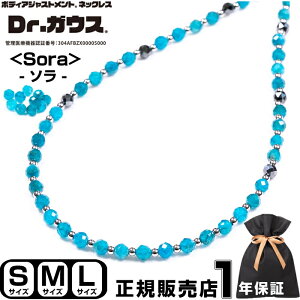 yViz Dr.KEX Sora hN^[KEX ClbNX ANZT[ N ǗË@ CÊ X|[c AX[g  Jo[ X|[cANZT[ VR Ap^Cg