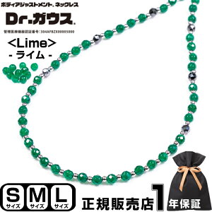 yViz Dr.KEX Lime hN^[KEX ClbNX ANZT[ N ǗË@ CÊ X|[c AX[g  Jo[ X|[cANZT[ VR O[A