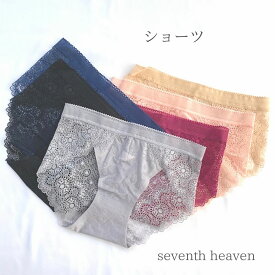 ショーツ 送料無料 レース シースルー スケスケ パンティ Sサイズ ブラック グレー ベージュ ネイビー ワインレッド ピンク 小さいサイズ Sサイズ おしゃれ エレガント くすみカラー 肌ざわり 上品 かわいい セクシー ランジェリー 女性 レディース インナー 下着 TS521