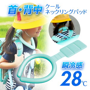 ⊴  Ђ PCMN[pllbNO 28ȉ ł܂ M L jp ⊴ wʃpl  ۗ p L͈ w JԂ gp\ lbNN[[ ACXlbNO  