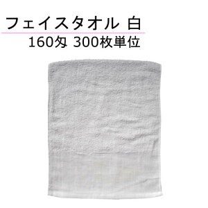 tFCX^I 160 [nt pC20ԁ@300P