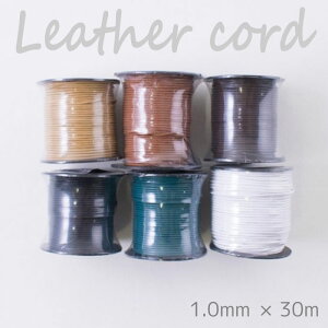 SSԒ|Cg10{!wA[g wƖp 努 otU[R[h 1.0mm×30mx [ ۊvЂ vЂ v {v Ђ R@(񂹕i)@([֕s)