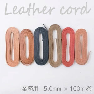 SSԒ|Cg10{!yz@wA[g wƖp 努 {^jJU[R[h5.0mm×100mx Ȗ؃U[ vЂg vЂ v {v Ђ R@(񂹕i)@([