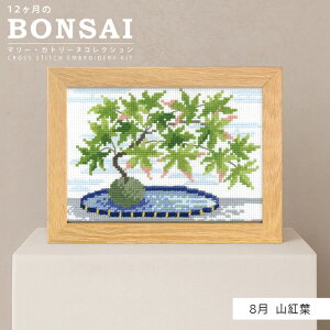 �y�}���\�����ԃN�[�|���z�z��!�z�h���イ�L�b�g 12������BONSAI 8�� �R�g�t �I�����p�X�@7619�@(���񂹕i)�@(���[���։�)
