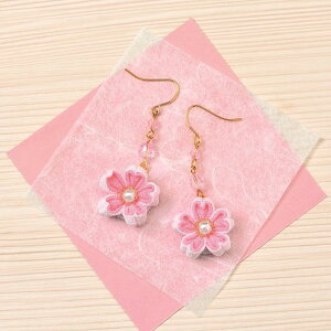 pi~ |Lbg ߂܂ݍ׍H ʉԃsAX(`F[sN)@LH-416@([։)